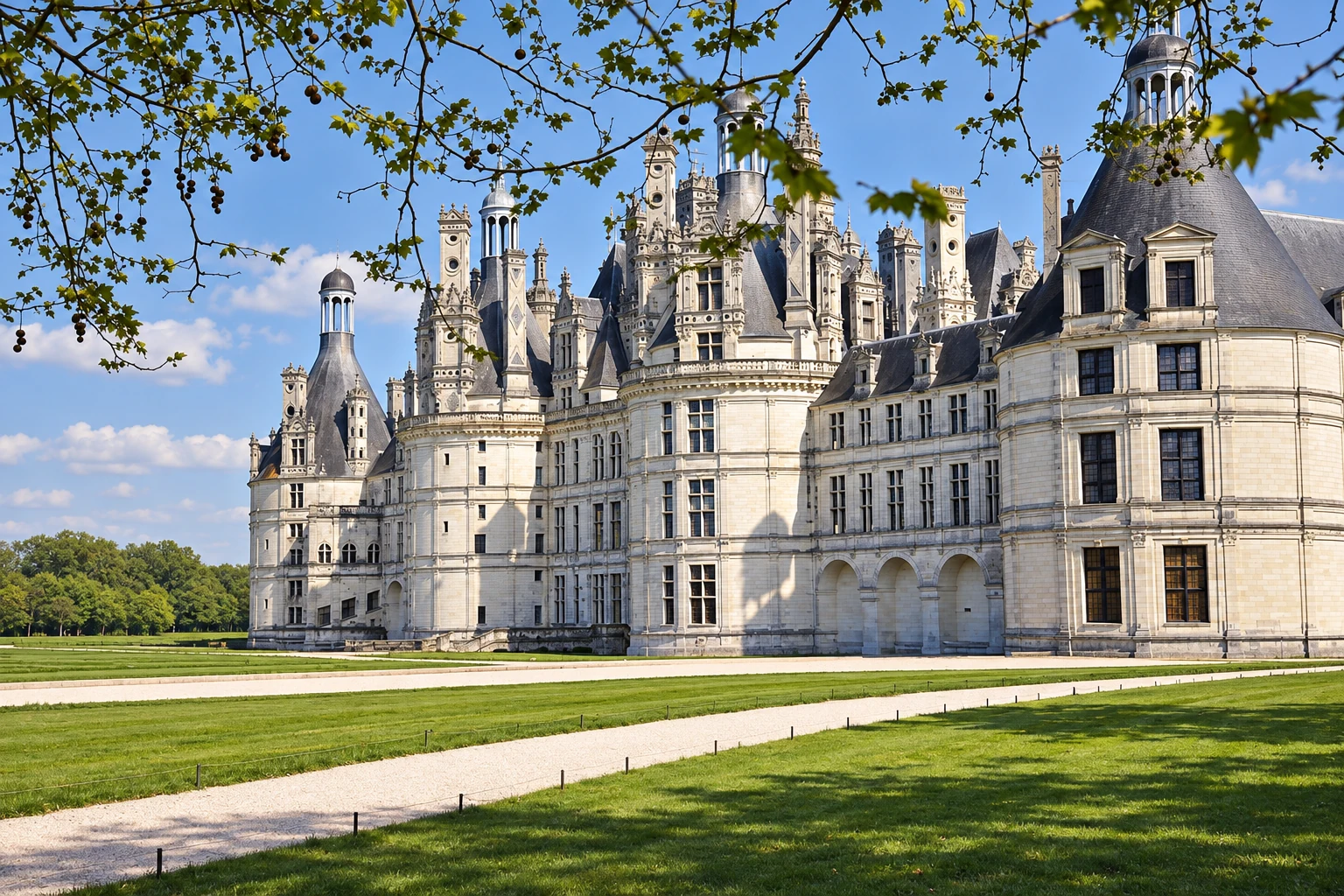 La façade nord-ouest du château de Chambord vue depuis le parc, encadrée par les branches d’un platane.